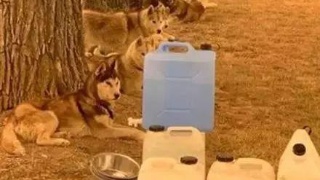 阿里专家：未来是靠脸时代 今明两年人脸识别进爆发期【三亿体育