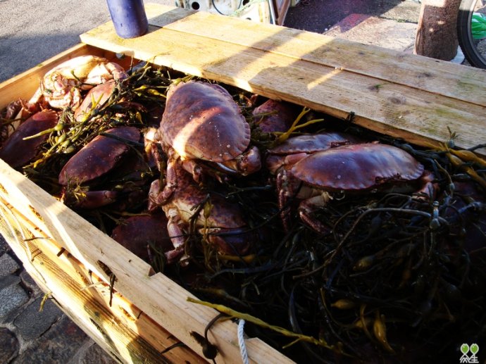 【三亿体育】
从电视剧《天道》感悟金融投资(图3) 三亿体育