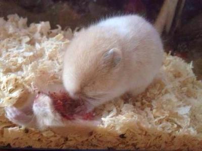 温州文成消防宣传进出租房  筑牢安全防火墙-三亿体育