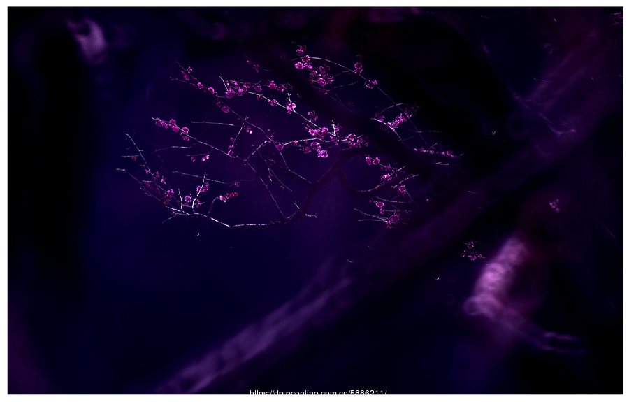 锤子科技：公司的确有危机，请给锤子一点时间：三亿体育