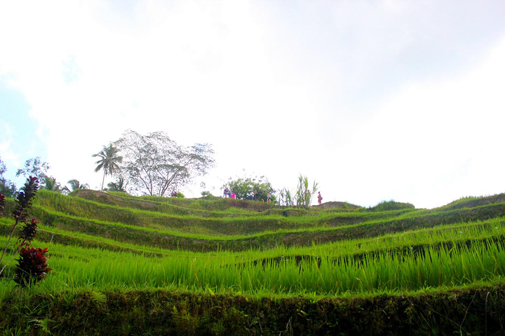 三亿体育手机版