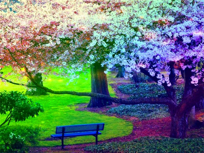 锡林郭勒消防借力科技周广泛开展科普宣传|三亿体育手机版