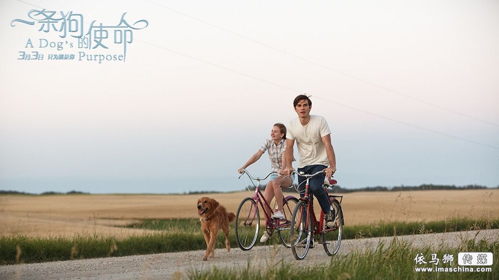 三亿体育手机版