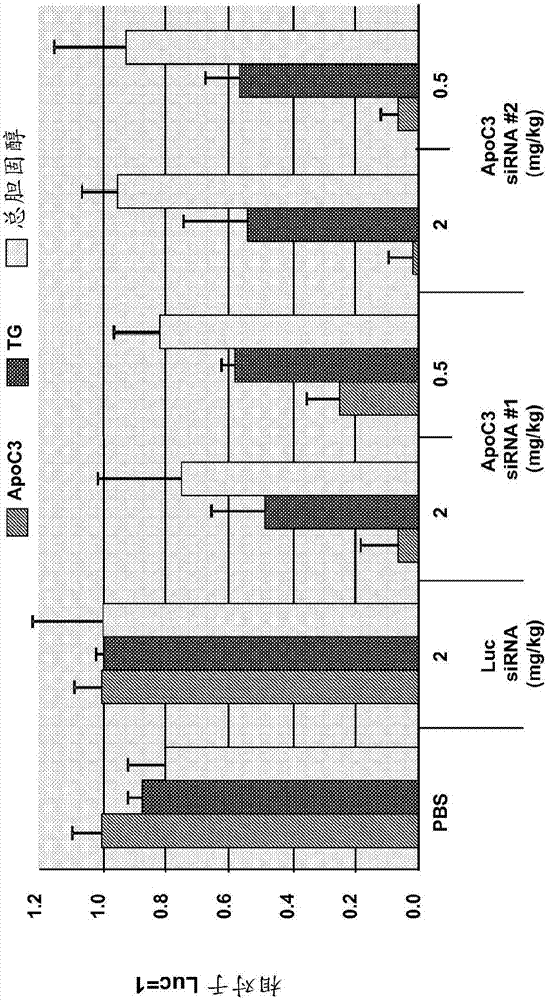 张雨绮活力满分亮相发布会 动感帅气大秀好身材‘三亿体育’(图1) 三亿体育
